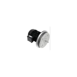 Электродвигатель Weishaupt WM-D132/170-2/7K5 с переключением звезда-треугольник