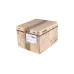 Газовый электромагнитный клапан Elco CG115R01-ZT2WF1Z
