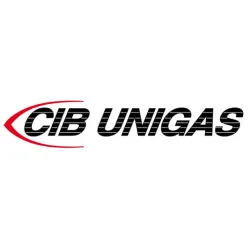 Электродвигатель CIB Unigas 71-2P-B3/B14 550 Вт