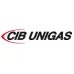Электродвигатель CIB Unigas 71-2P-B3/B14 550 Вт