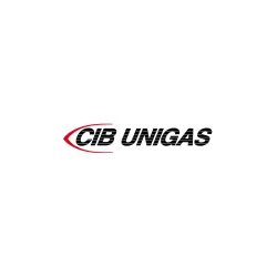 Электродвигатель CIB Unigas 71-2P-B3/B14 550 Вт