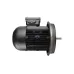 Электродвигатель Weishaupt W-D112/140-2/3K0