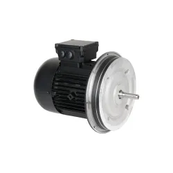 Электродвигатель Weishaupt W-D112/140-2/3K0