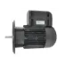 Электродвигатель Weishaupt W-D112/170-2/4K5