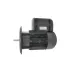 Электродвигатель Weishaupt W-D112/170-2/4K5 Электродвигатель Weishaupt W-D112/170-2/4K5