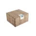 Топочный автомат Riello 20137660