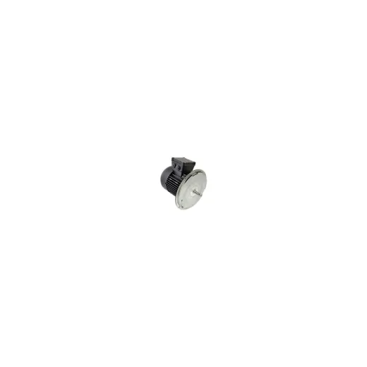 Электродвигатель Weishaupt W-D90/90-2/1K0
