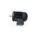 Электродвигатель Weishaupt WM-D132/210-2/15K5 Электродвигатель Weishaupt WM-D132/210-2/15K5