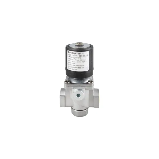 Газовый электромагнитный клапан Brahma EG12*AR*AFD 13883501