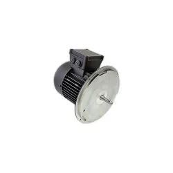 Электродвигатель Weishaupt W-D90/110-2/1K5