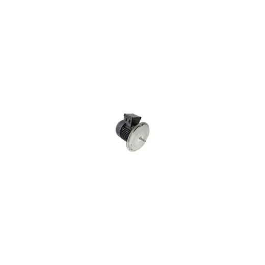 Электродвигатель Weishaupt W-D90/110-2/1K5