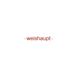 Электродвигатель Weishaupt DK06/W-2