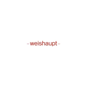 Топочный автомат Weishaupt W-FM 50 X, 21710412082 Топочный автомат Weishaupt W-FM 50 X, 21710412082