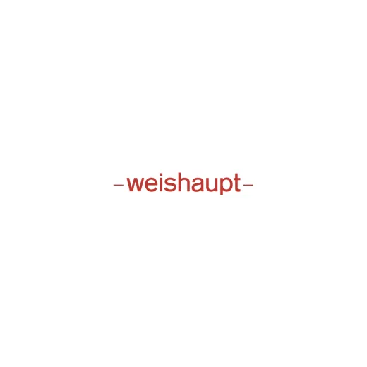 Электродвигатель Weishaupt DK06/W-2