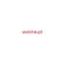 Электродвигатель Weishaupt DK06/W-2 Электродвигатель Weishaupt DK06/W-2