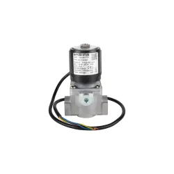 Газовый электромагнитный клапан Brahma EG12*A*A3C 13870501