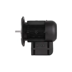 Электродвигатель Weishaupt WM-D112/140-2/3K5, 21520407300