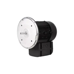 Электродвигатель Weishaupt WM-D112/140-2/3K5, 21520407300