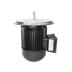 Электродвигатель Weishaupt EC90/50-2