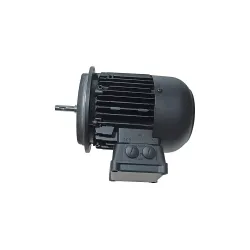 Электродвигатель Weishaupt WM-D132/210-2/10K0