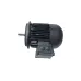 Электродвигатель Weishaupt WM-D132/210-2/10K0 Электродвигатель Weishaupt WM-D132/210-2/10K0
