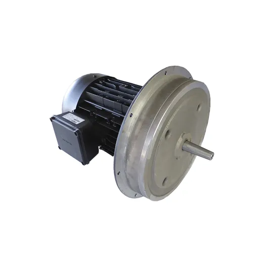 Электродвигатель Weishaupt W-D132/210-2/14K0