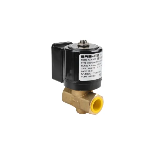 Газовый электромагнитный клапан Brahma E6G*SRP10*1/2*GFD 13763805
