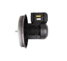 Электродвигатель Weishaupt W-D160/240-2/22K0
