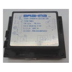 Топочный автомат Brahma TM31