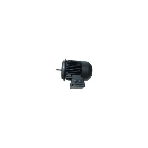 Электродвигатель Weishaupt W-D160/240-2/16K0