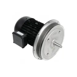 Электродвигатель Weishaupt W-D132/170-2/6K5
