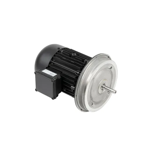 Электродвигатель Weishaupt W-D112/170-2/5K5