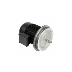 Электродвигатель Weishaupt W-D132/210-2/12K0