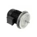 Электродвигатель Weishaupt W-D132/210-2/12K0