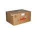 Газовая горелка Baltur TBG 85 P